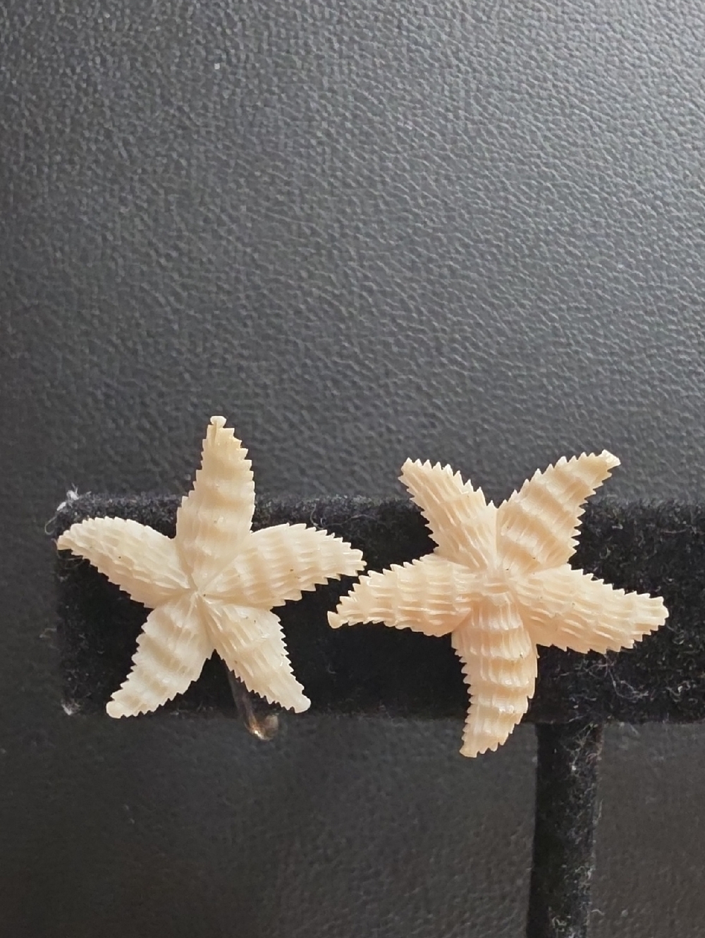Vintage Carved Bone Starfish Screwback 800 Signed Earrings